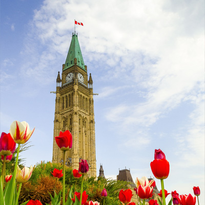 Ottawa, ON